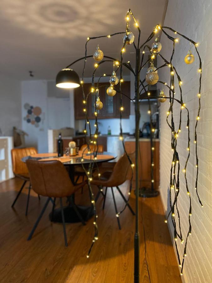 Ijsvogel Apartment, Duplex Family Home 4-Bed Located On The Largest Saltwater Lake Bruinisse Exterior photo
