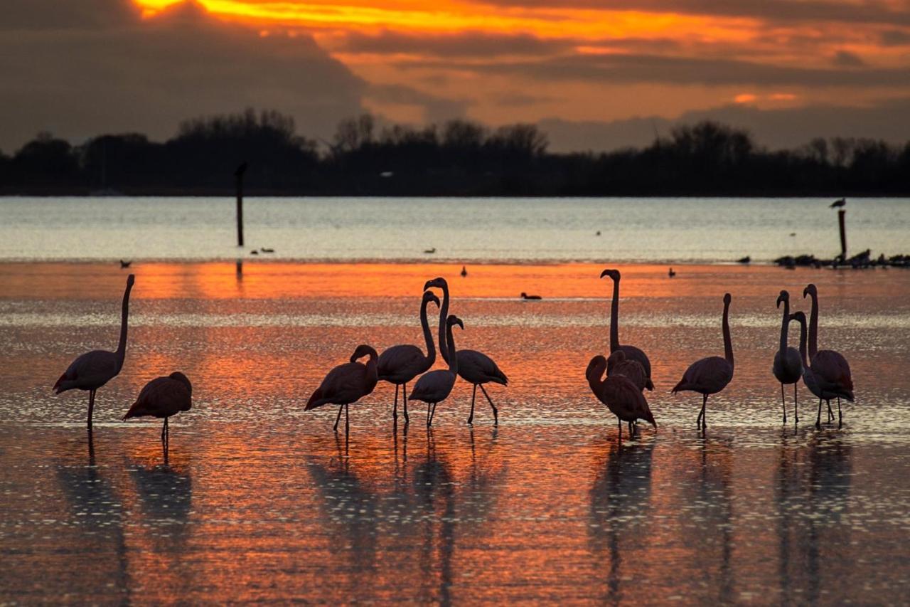 Ijsvogel Apartment, Duplex Family Home 4-Bed Located On The Largest Saltwater Lake Bruinisse Exterior photo
